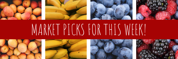 fruits banner